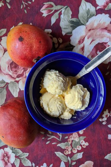 overhead view of mango ice cream in a bowl