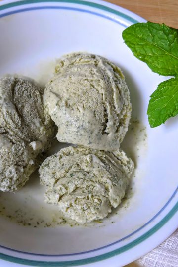 mint ice cream in bowl with mint leaves on the side