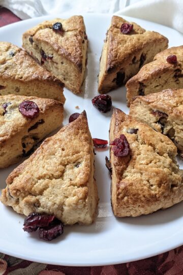 Eight cranberry scones on a plate, viewed from the side